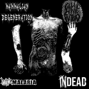 Mammalian Degeneration / Sangue Putrido / Puta Malaria / Indead