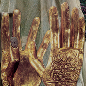 A Melbourne Nocturne