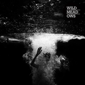 Wild Meadows