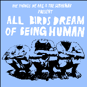 All Birds Dream Of Being Human