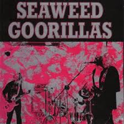 seaweed goorillas