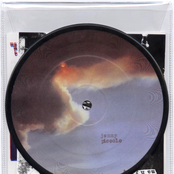 The Locust/Jenny Piccolo Split 5" Picture Disc