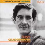Tony Cucchiara