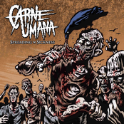 Spreading The Sickness