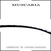 Conductor de Comportamiento