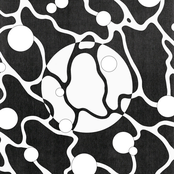 Remember Summer Love