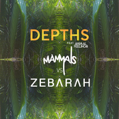 Depths