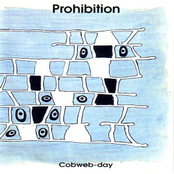 Prohibition: Cobweb-Day