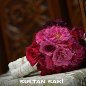 Sultan Sâki