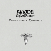 Evolve Like a Chrysalis