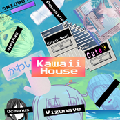 Vizunavé's House!
