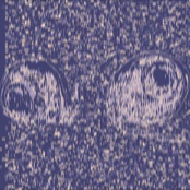 Just Observe (Throwaway)