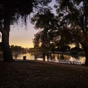 Happy Birthday (Unplugged) - Single