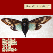 Unexpected Underground Therapy Plastic Place