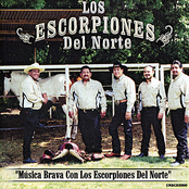 Música Brava Con los Escorpiones del Norte