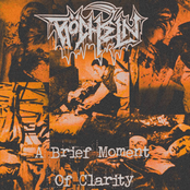 A Brief Moment of Clarity