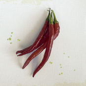 Cayenne