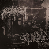 Nebelschwaden / Wolfskult