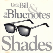 Shades