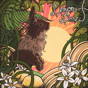 Lemon Lime - Single