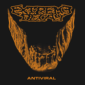 Antiviral