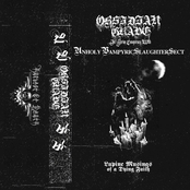 Lupine Musings Of A Dying Faith