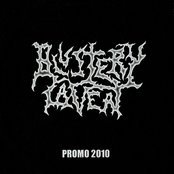 Promo 2010