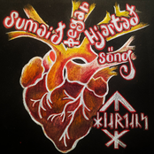 Sumarið Þegar Hjartað Söng