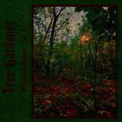 Woodland Hymns: Vol. I