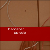 hamster spittle