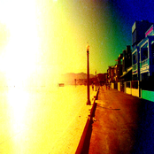 Not a Worry in the World