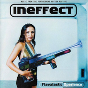 Flavalastic Xperience