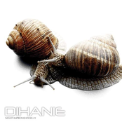 Improvization Night I