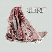 Drainland / Cellgraft