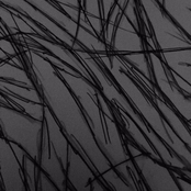 La Noche Con la Luna de Sangre