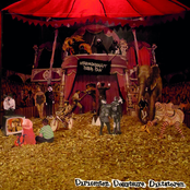 Dirigenten. Dompteure. Diktatoren.