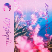 The Damiáncord Megasplit