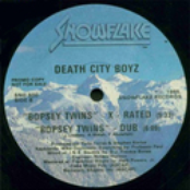 Bopsey Twins 12inch single