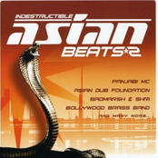 Indestructible Asian Beats 2