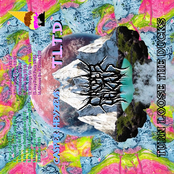 Turn Loose the Ducks