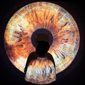 Rajna Swaminathan: Apertures