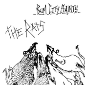 The Rats