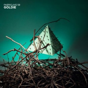 Fabriclive 58 - Goldie