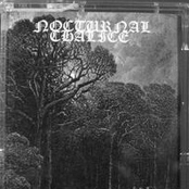 Forgotten Voices Sing Again