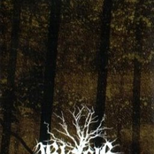 Into The Lightless Depths (Demo)