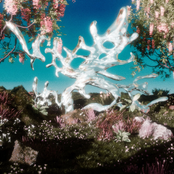 The Light Will Never Find Me