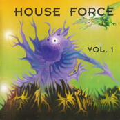 House Force Vol. 1