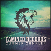 2013 Summer Sampler