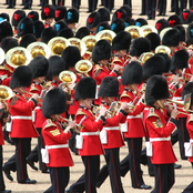 the massed bands of the household division