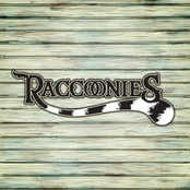 raccoonies